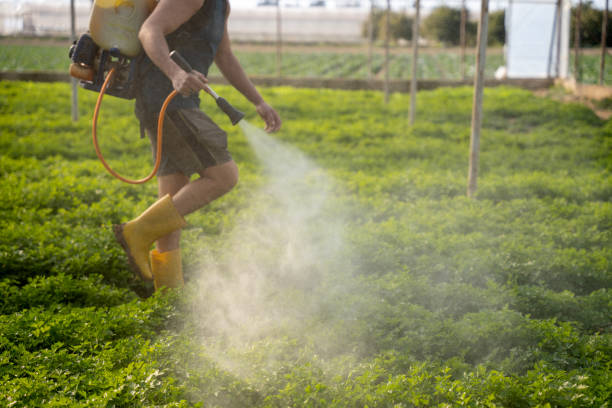 Best Best Pest Control Companies  in Owatonna, MN