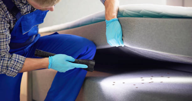 Trusted Owatonna, MN Pest Control Experts
