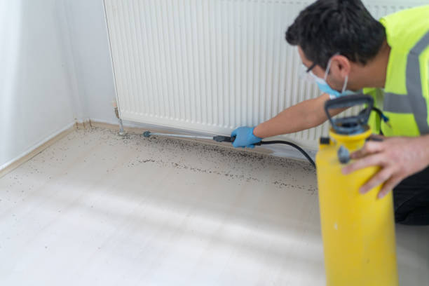Best Commercial Pest Control Services  in Owatonna, MN