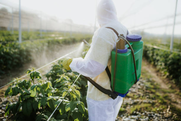 Reliable Owatonna, MN Pest Control Solutions